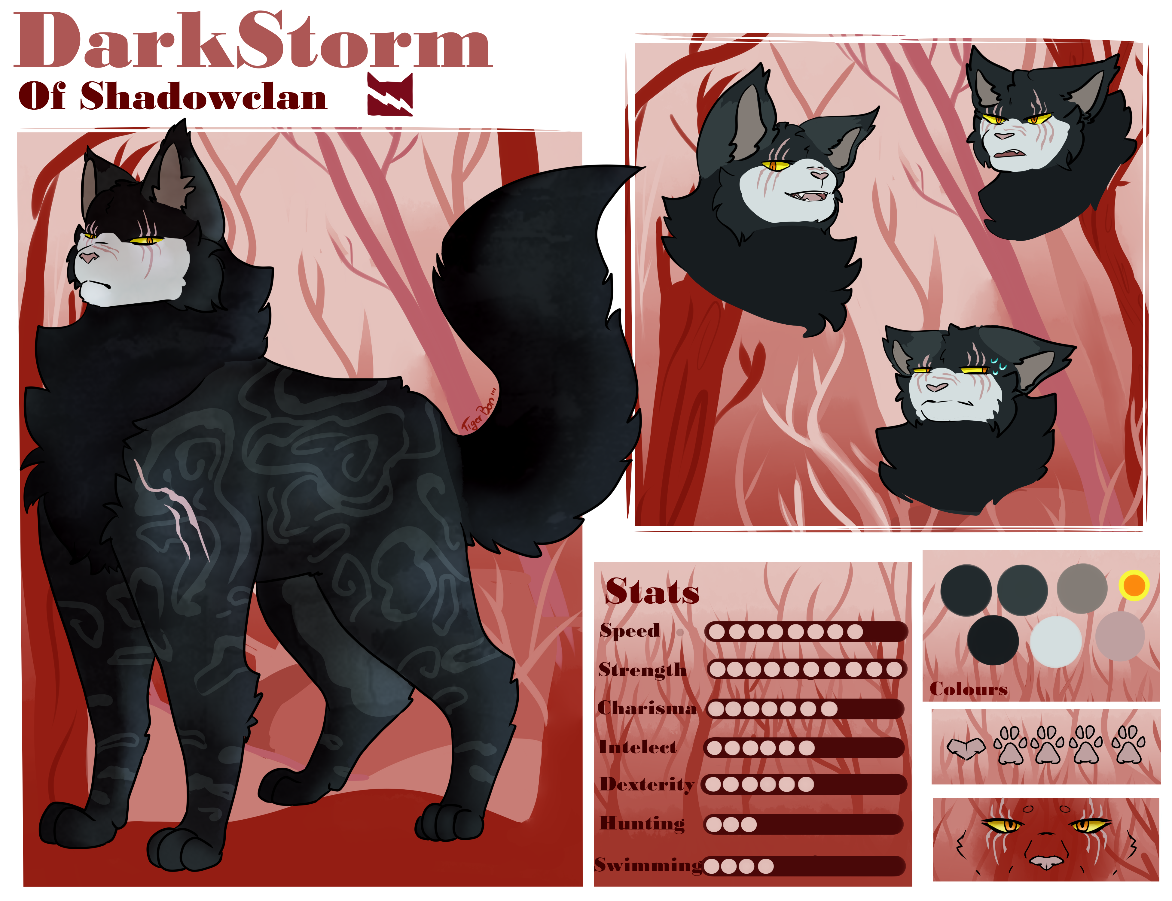 Dark'Storm